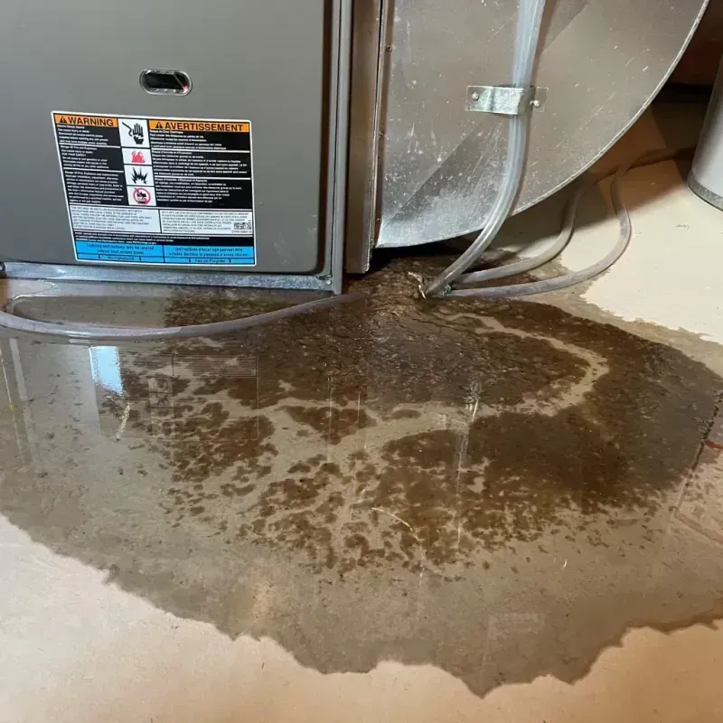 Appliance Leak Cleanup in Lewisville, TX